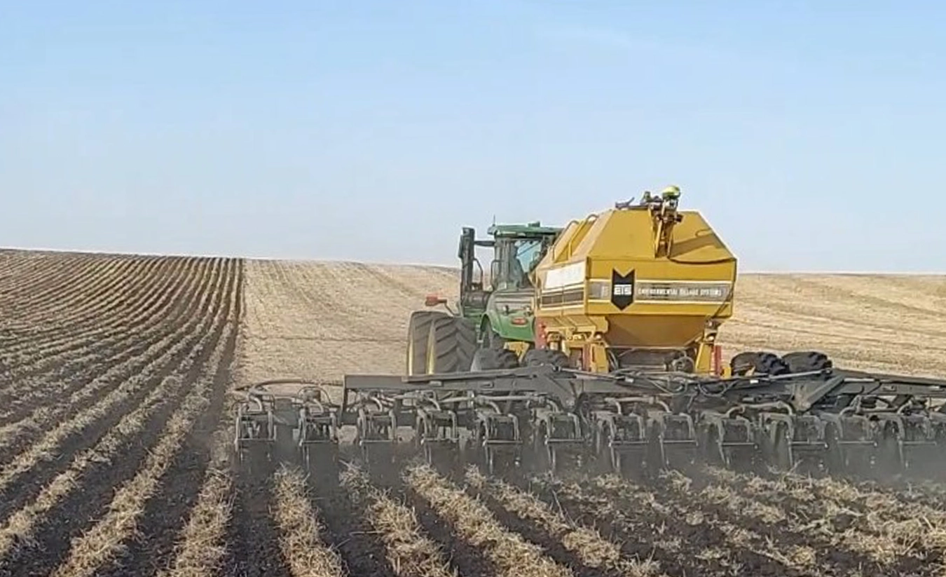 Custom Strip Till