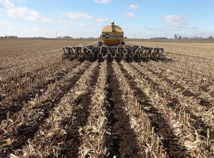 Optimizing strip-till timing: A targeted approach to soil health, nutrient efficiency, and sustainable farming.