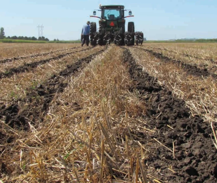 Strip-tillage in action: Precision tilling improves soil health, conserves moisture, and boosts crop yields while reducing erosion.